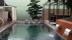 Natural-pool membrane liner